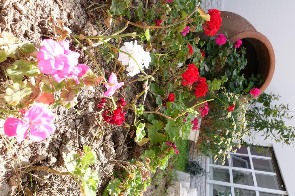 Hotel Limonlu Ev Ardic Alaçatı Esterno foto